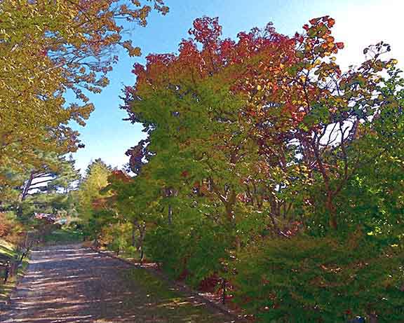 芦屋プラン株式会社 宇治市植物公園